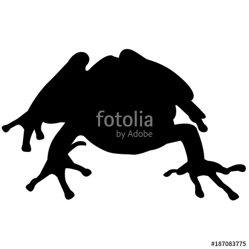 500x500 Tree Frog Silhouette Vector Graphics Stock Image And Royalty Free