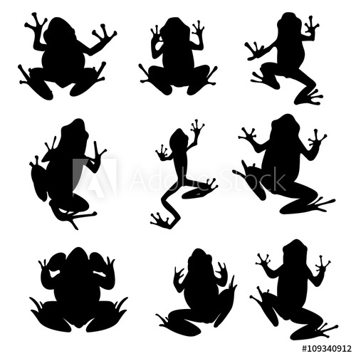 500x500 Vector Amphibian Silhouette On The White Background Frog