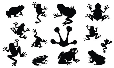 400x240 Frog Vector Photos, Royalty Free Images, Graphics, Vectors