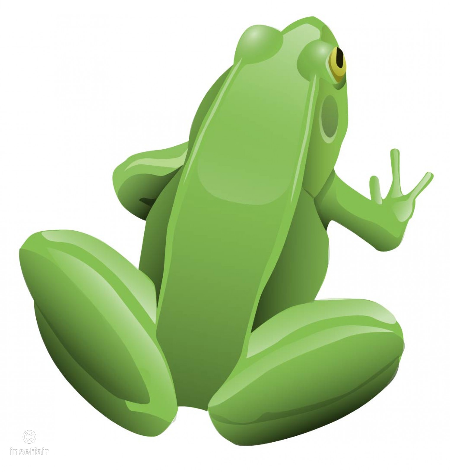 Green Sitting Frog Vector Drawing Free Download 1524x1600 Green Sitting Frog Vector Drawing Free Download