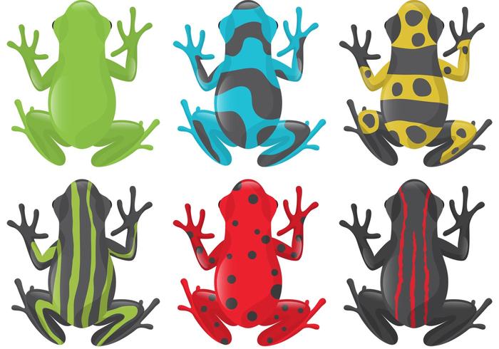 Poison Frog Vectors 700x490 Poison Frog Vectors