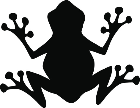 471x365 Frog Vector