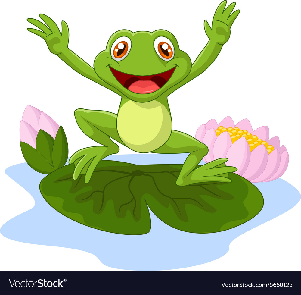 1000x979 Frog Vector