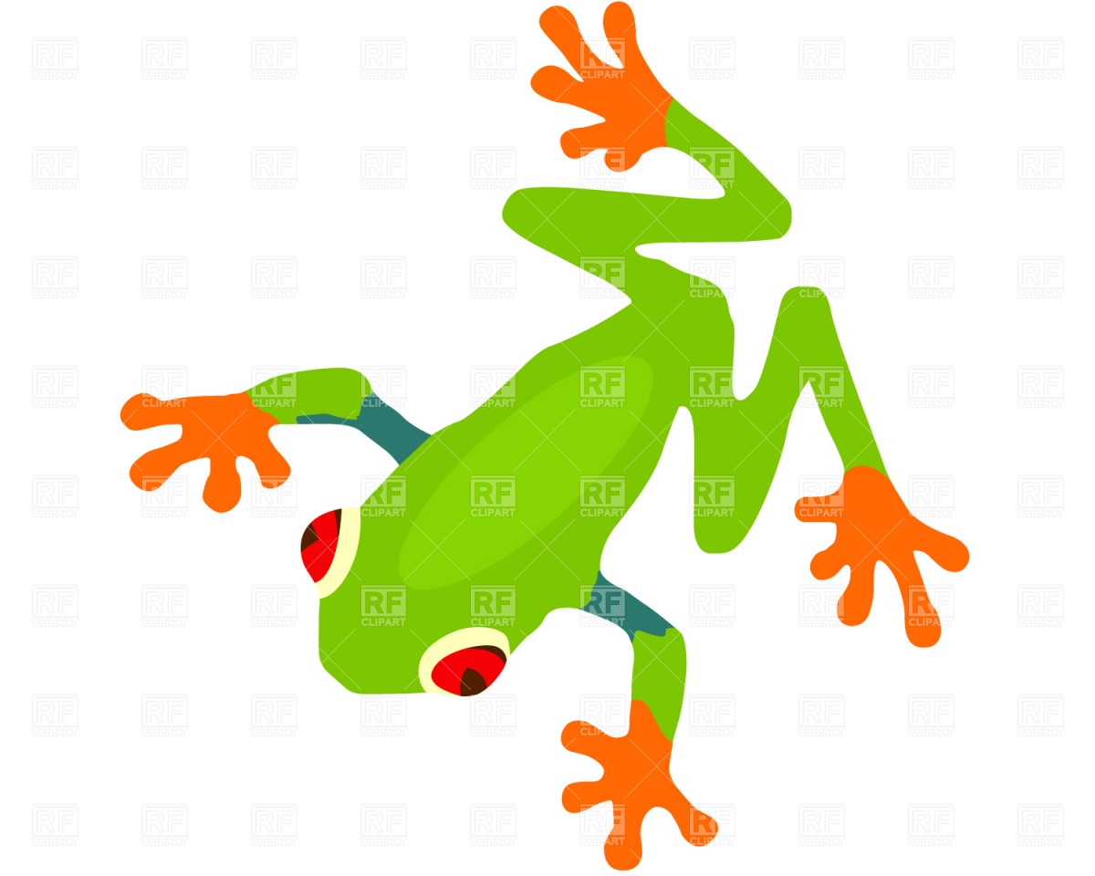 1200x960 Frog Vector Image Of Plants And Animals Prague