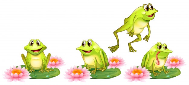 626x284 Frog Vectors, Photos And Free Download