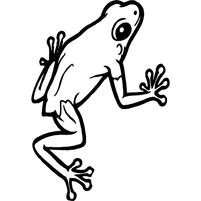 660x660 Frog Vector Image Free Vectors Ui Download