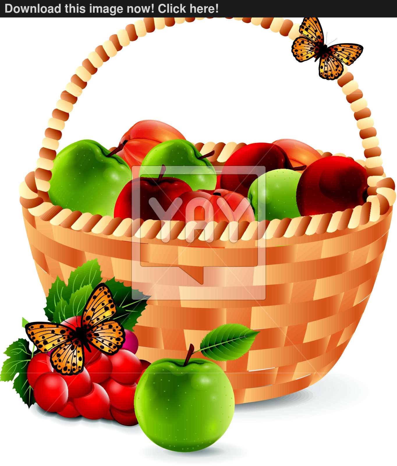 Fruit Basket Vector 1364x1600 Fruit Basket Vector
