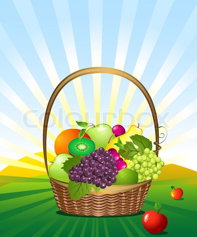 Fruit Basket In The Meadow Stock Vector Colourbox 667x800 Fruit Basket In The Meadow Stock Vector Colourbox