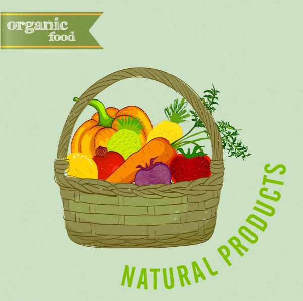 Organic Food Advertising Fruit Basket Icon Multicolored Design 600x596 Organic Food Advertising Fruit Basket Icon Multicolored Design