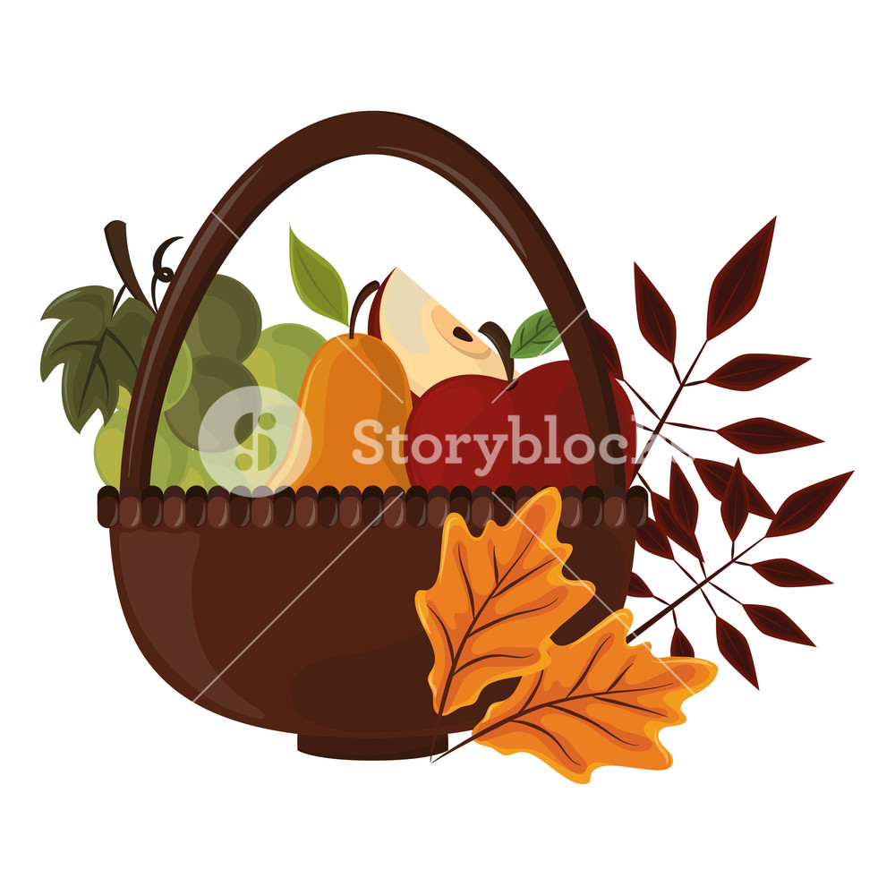 Thanksgiving Day Autumn Leaves With Fruit Basket In White 1000x1000 Thanksgiving Day Autumn Leaves With Fruit Basket In White