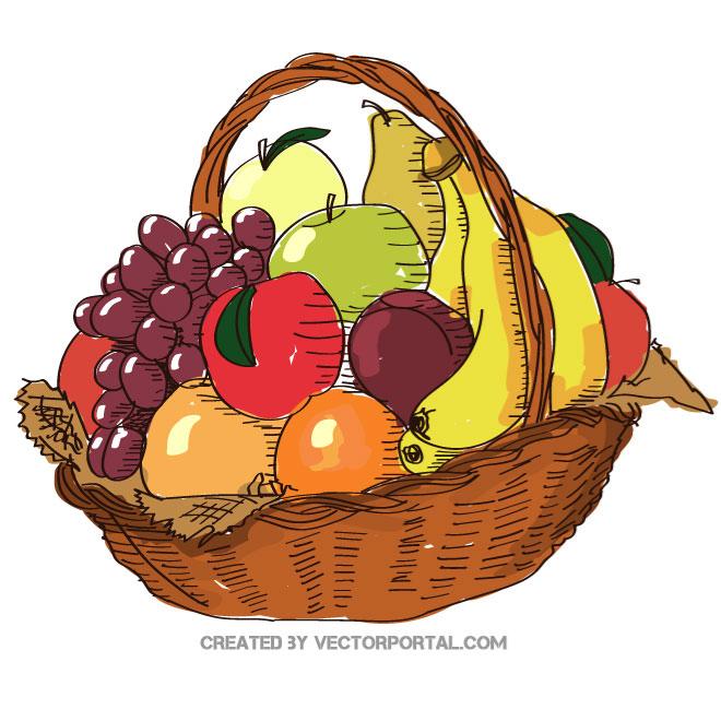 Fruit Basket Vector At Vectorified.com | Collection Of Fruit Basket ...