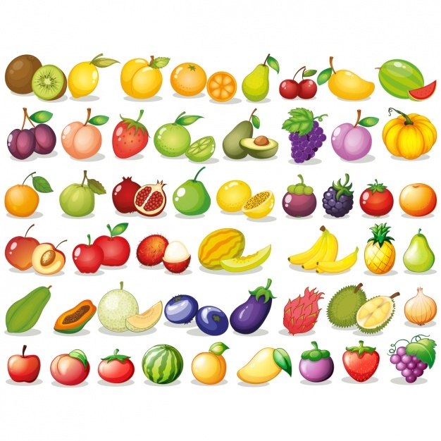 626x626 Fruit Vectors, Photos And Free Download