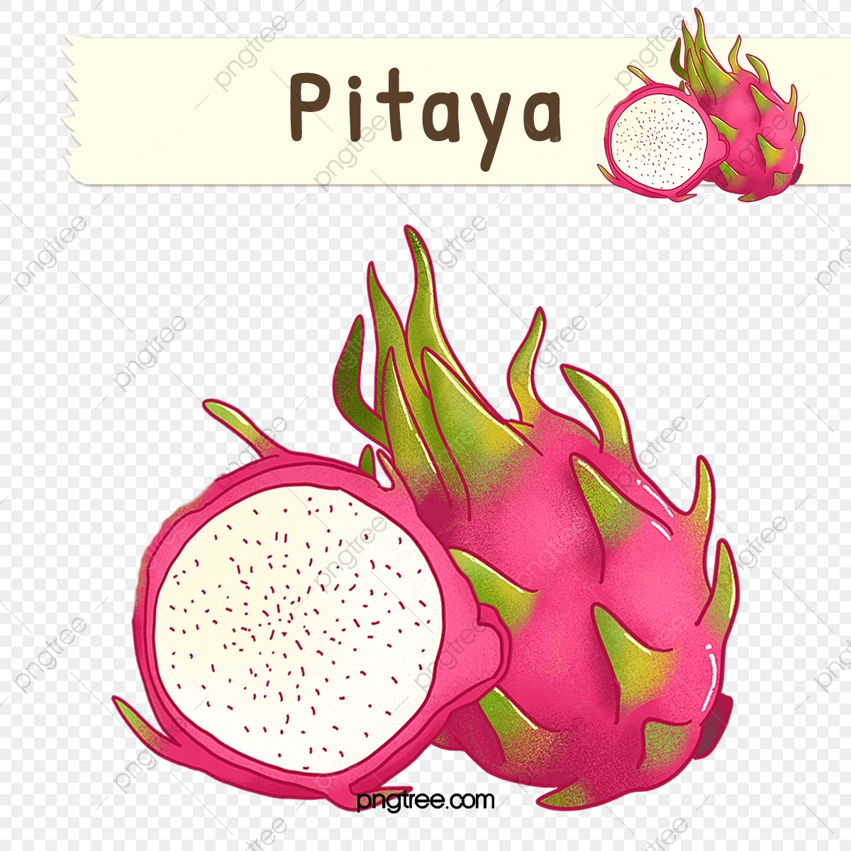 1200x1200 Vector Cartoon Dragon Fruit, Cartoon Clipart, Dragon Clipart