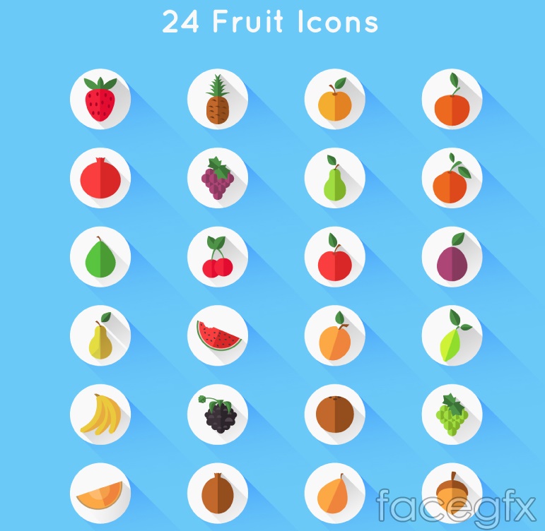 Fruit Icon Vector