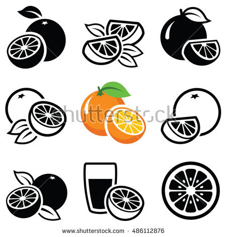 450x470 Orange Fruit Icon Collection Vector Outline Stock Clipart