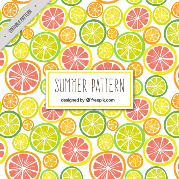 Citrus Fruits Pattern Vector Free Download 626x626 Citrus Fruits Pattern Vector Free Download