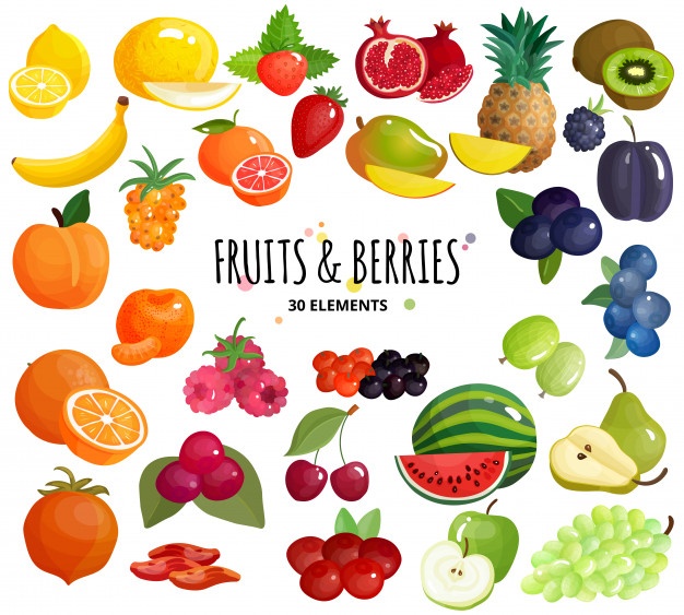 626x563 Fruits Vectors, Photos And Free Download