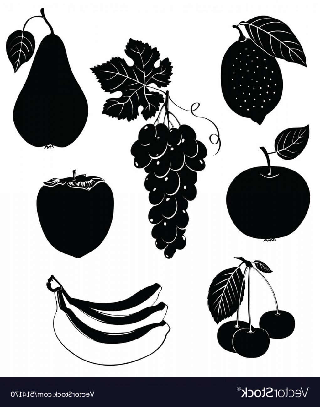 1021x1296 Set Of Silhouettes Of Fruit Vector Soidergi