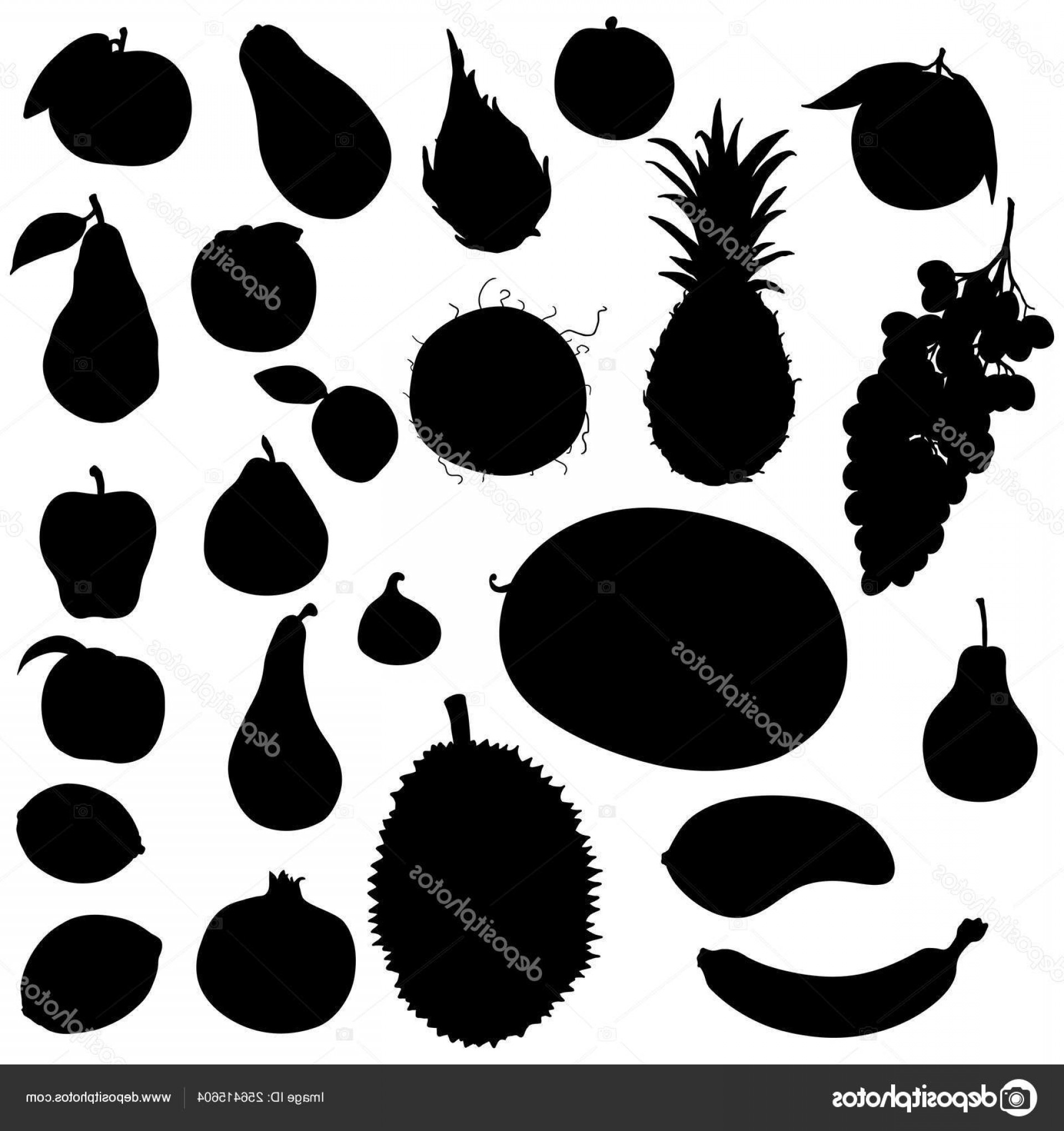 1920x2040 Stock Illustration Vector Set Black Fruits Silhouettes Soidergi