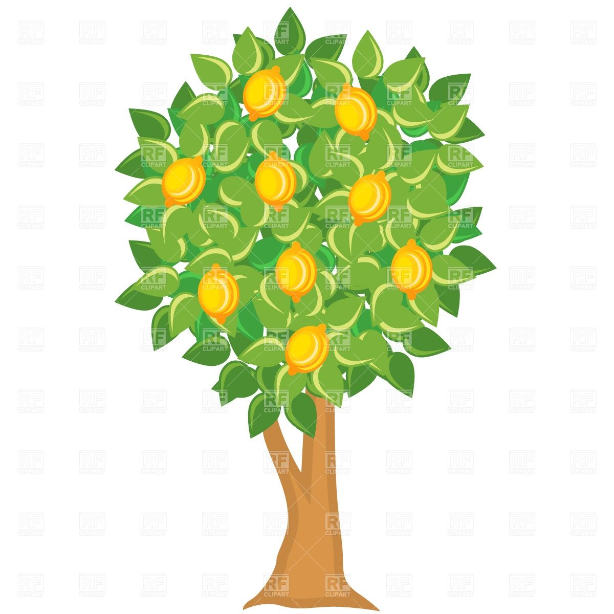 Fruit Tree Clipart 1200x1200 Fruit Tree Clipart
