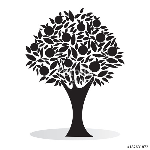 Fruit Tree Black And White, Vector Illustration Stock Image 500x500 Fruit Tree Black And White, Vector Illustration Stock Image