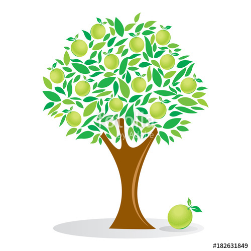 Lemon Tree, Orange Tree, Fruit Tree, Vector Illustration Stock 500x500 Lemon Tree, Orange Tree, Fruit Tree, Vector Illustration Stock