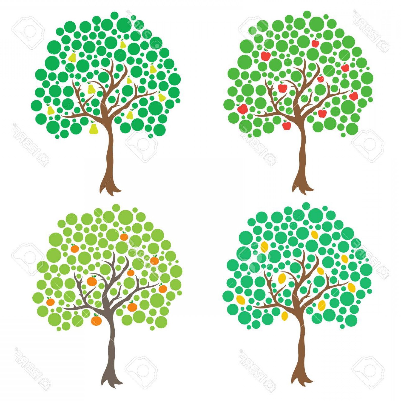 Photostock Vector Fruit Trees Vector Clip Art Newwaysys 1560x1560 Photostock Vector Fruit Trees Vector Clip Art Newwaysys