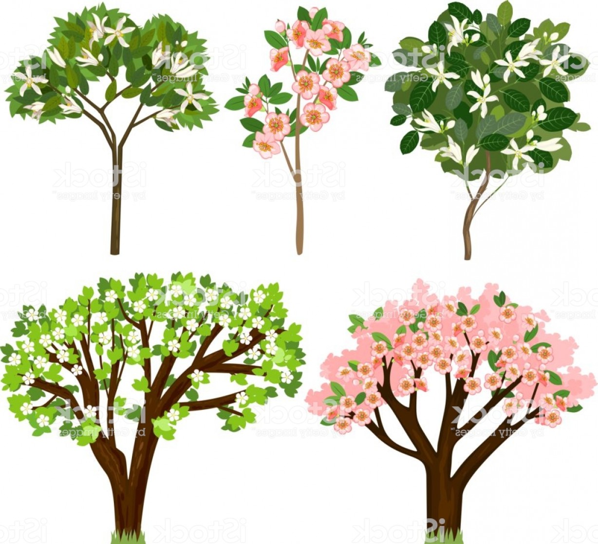 Fruit Tree Vector at Vectorified.com | Collection of Fruit Tree Vector ...