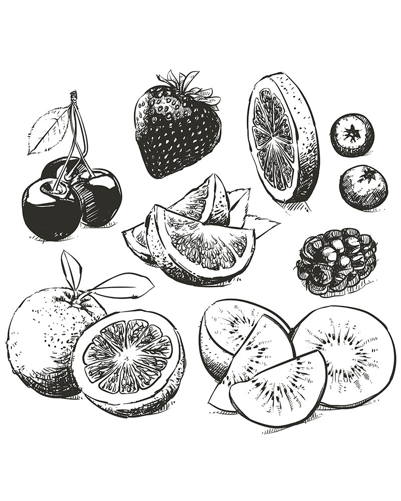 Fruit Vector