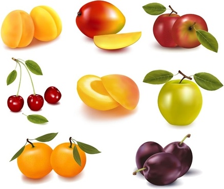 437x368 Fruit Free Vector Download
