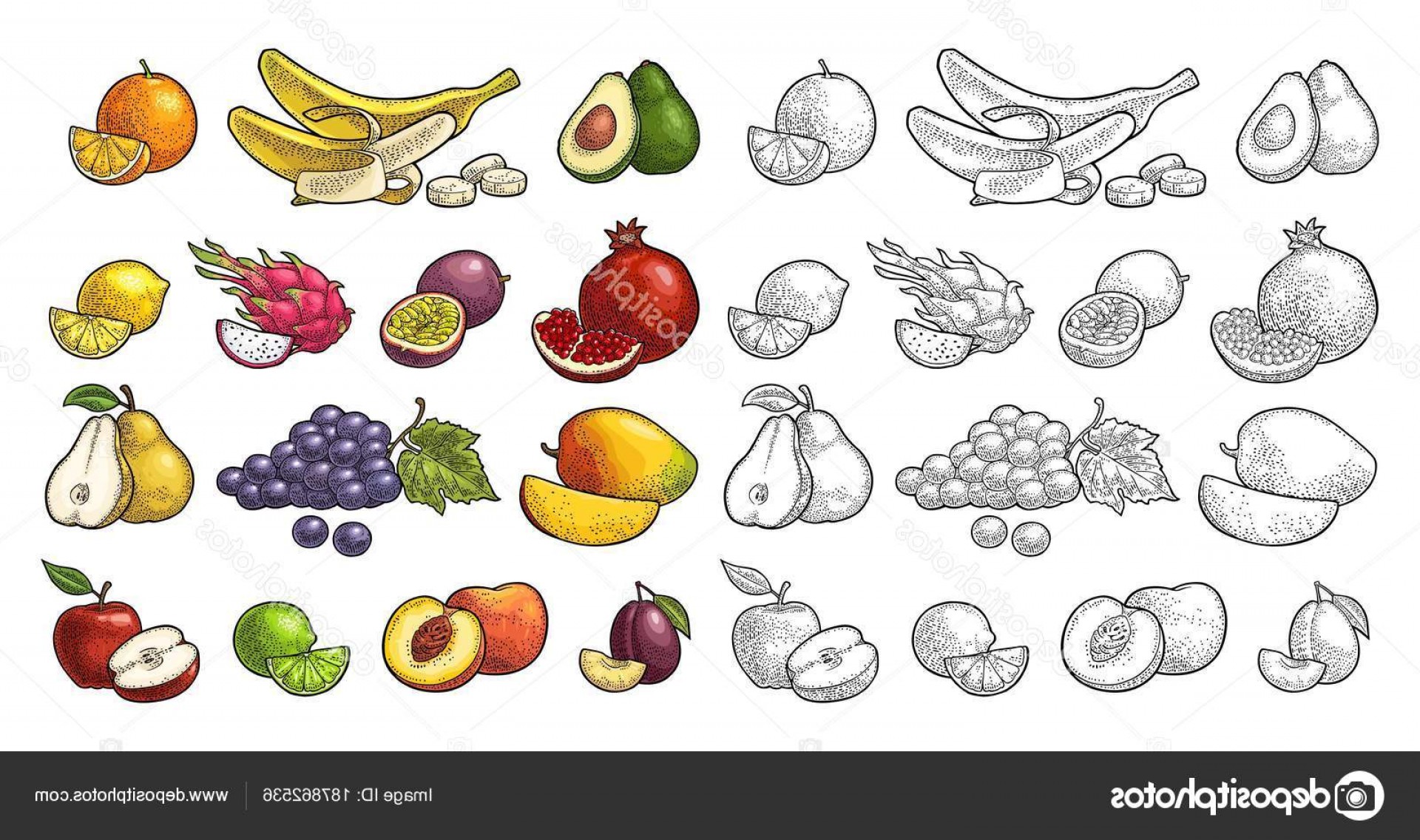 1920x1136 Stock Illustration Set Tropical Fruits Vector Black Handandbeak