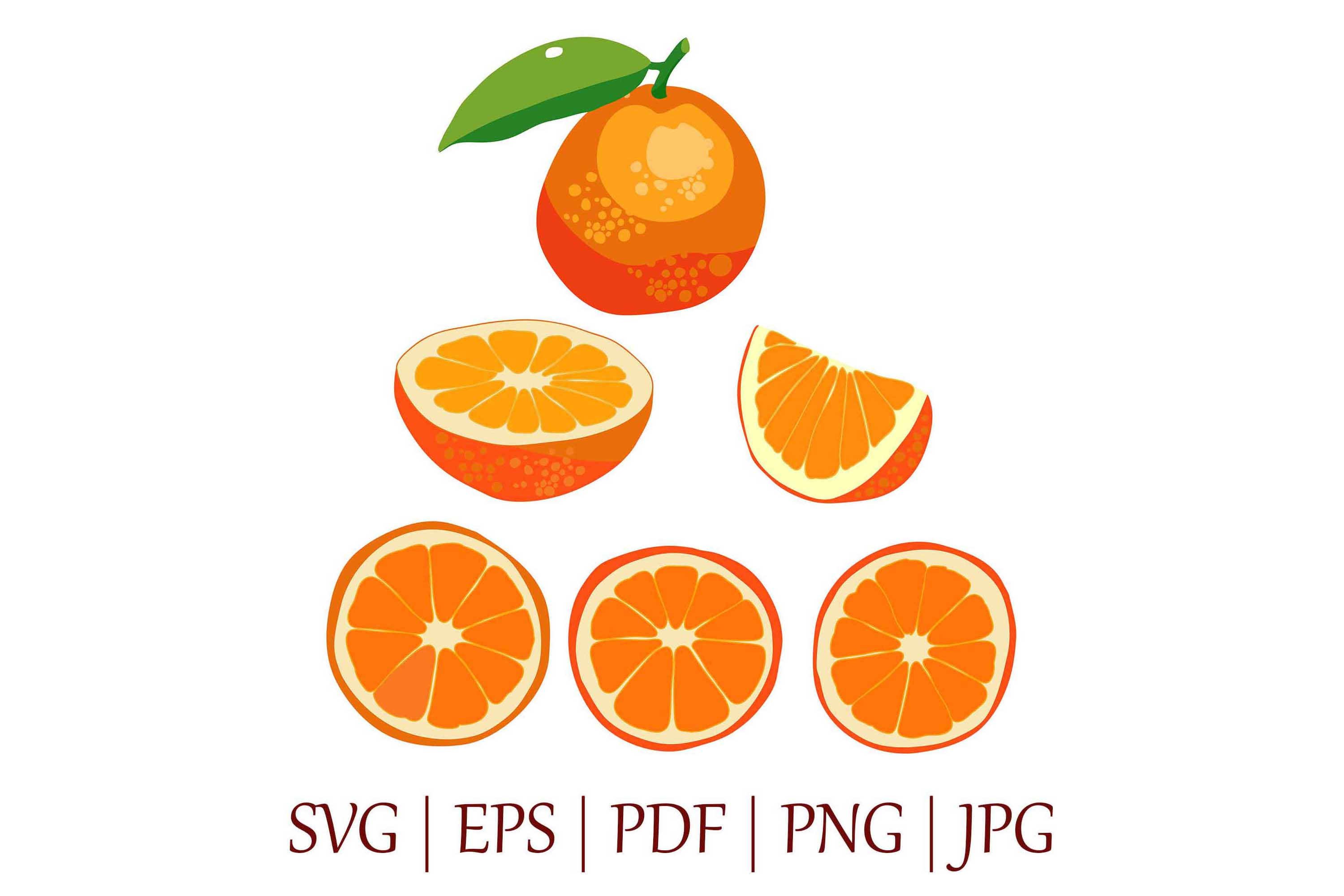 3000x2000 Bright Orange Fruit Vector Illustrations