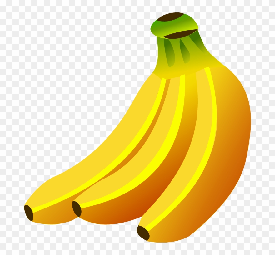 880x817 Free Vector Fruit Free Vector