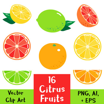 Fruit Vector Art