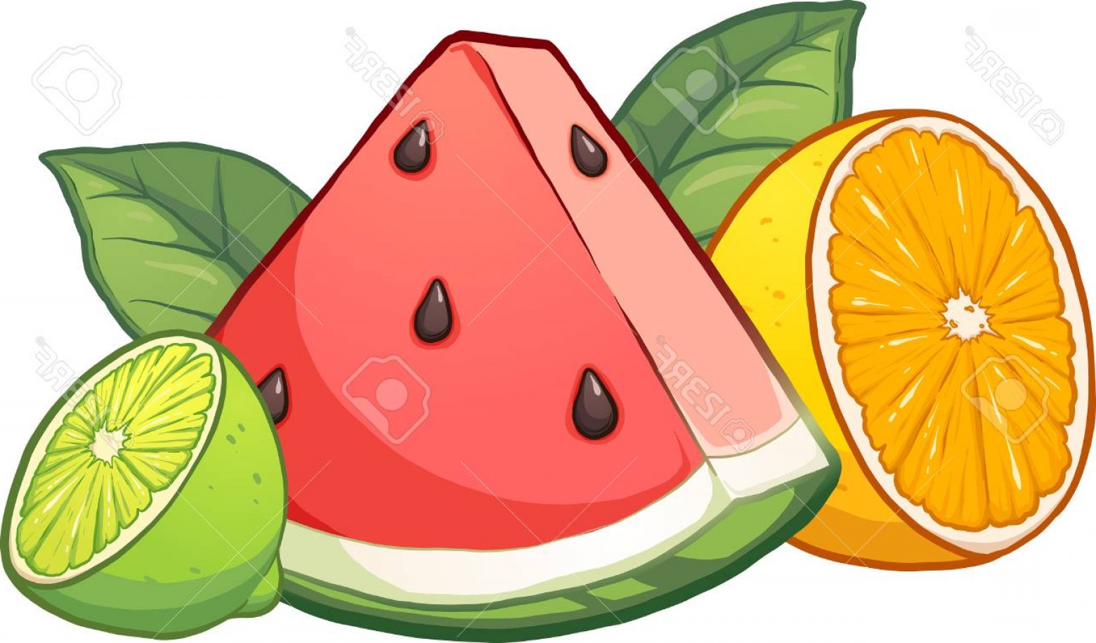 1560x915 Fruit Vector Clip Art Hoodamath