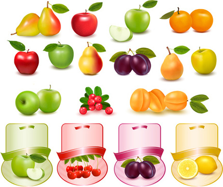 438x368 Fruits And Vegetables Vector Free Vector Download