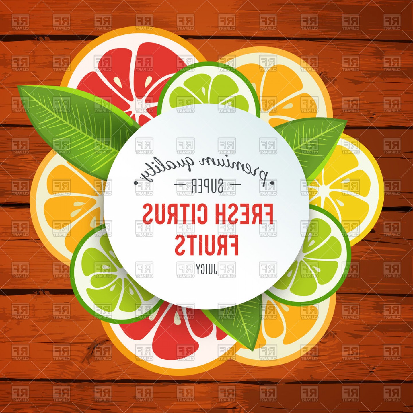 1440x1440 Citrus Fruit Vector Art Hoodamathrun