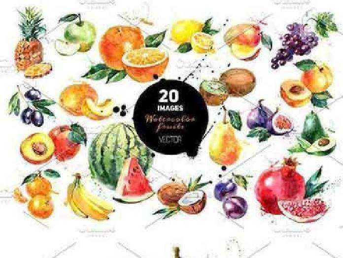 Watercolor Fruits Vector 696x524 Watercolor Fruits Vector