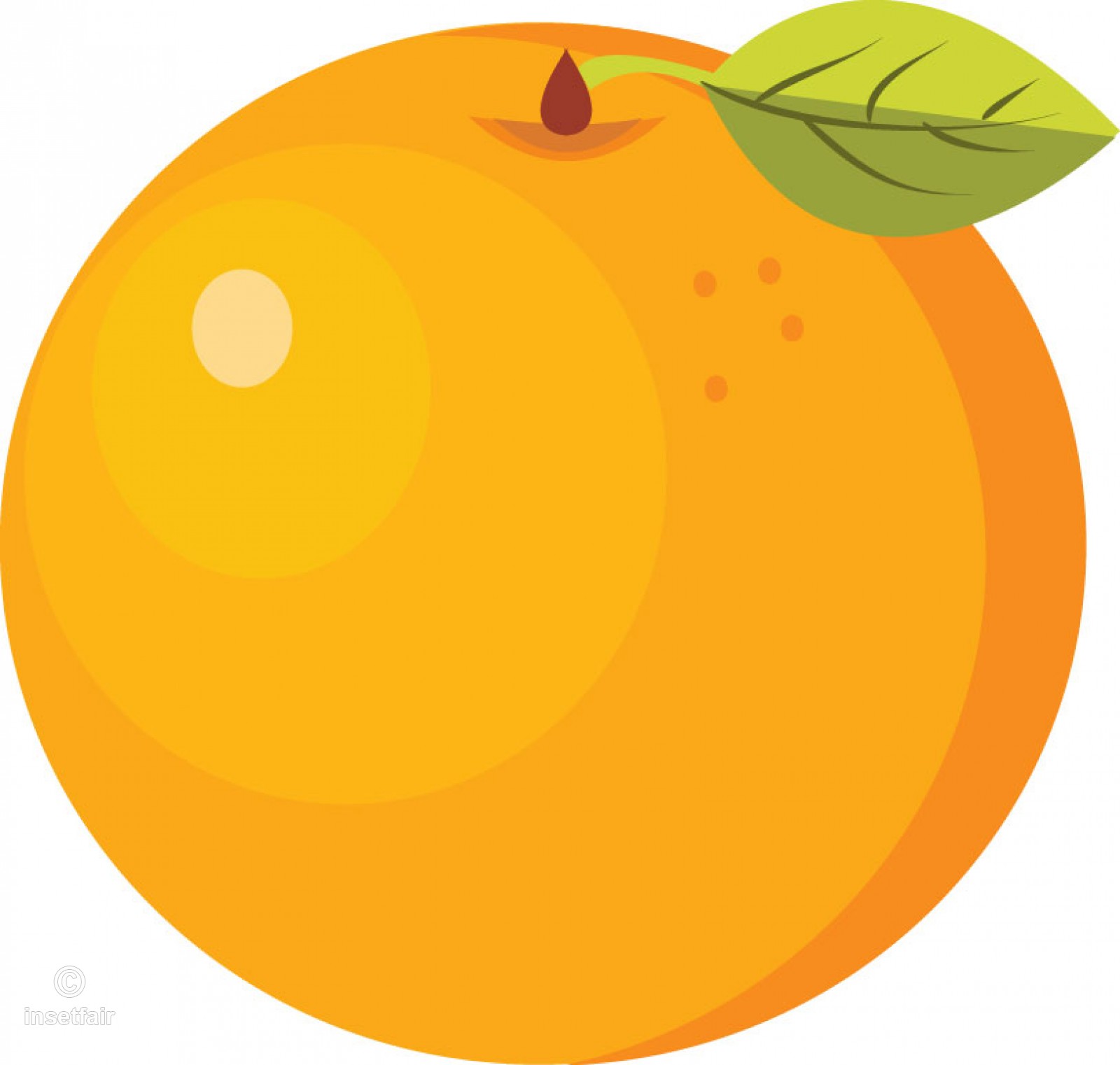Orange Fruit Vector Illustration Free Png Image 1600x1522 Orange Fruit Vector Illustration Free Png Image
