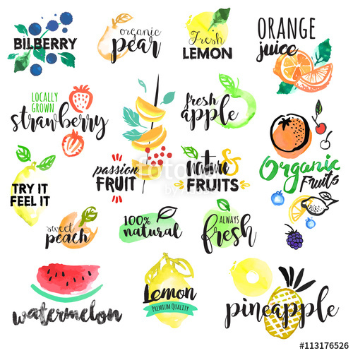 Set Of Hand Drawn Watercolor Labels And Stickers Of Fruit Vector 500x500 Set Of Hand Drawn Watercolor Labels And Stickers Of Fruit Vector