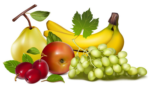 500x288 Fruit And Vegetable Theme
