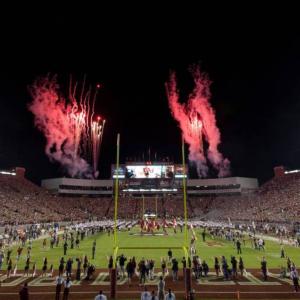 Florida State University Logo Png Transparent Vector Png 300x300 Florida State University Logo Png Transparent Vector Png