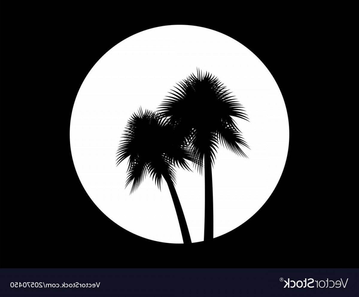 1200x994 Black And White Moon Vector Catchsplace