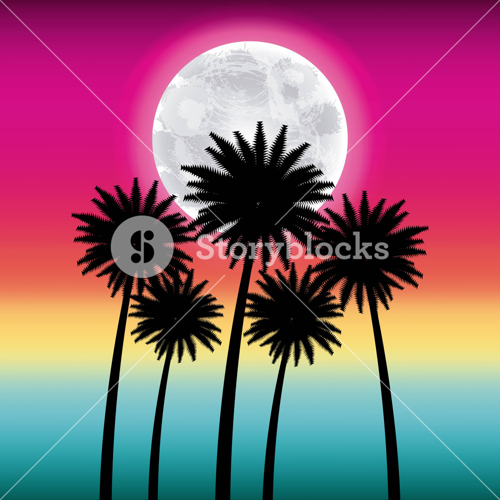 1000x1000 Full Moon Party Summer Pink Background High Palms Moon Vector