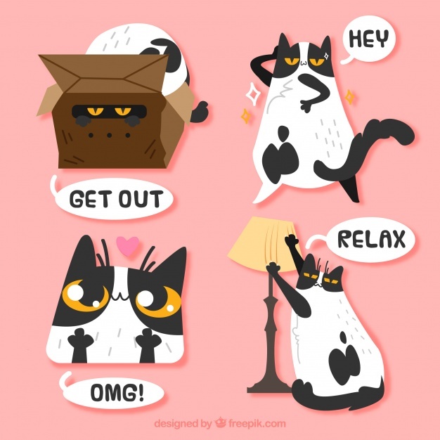 Funny Cat Vectors, Photos And Free Download 626x626 Funny Cat Vectors, Photos And Free Download