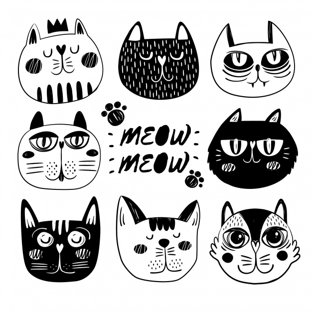 Funny Cat Faces Collection Vector Free Download 626x626 Funny Cat Faces Collection Vector Free Download