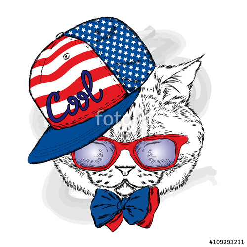 Funny Cat In A Cap And Glasses Cool Cat Vector Illustration 500x500 Funny Cat In A Cap And Glasses Cool Cat Vector Illustration