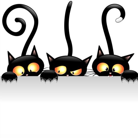 Three Funny Carton Cat Vector Free Download 539x539 Three Funny Carton Cat Vector Free Download