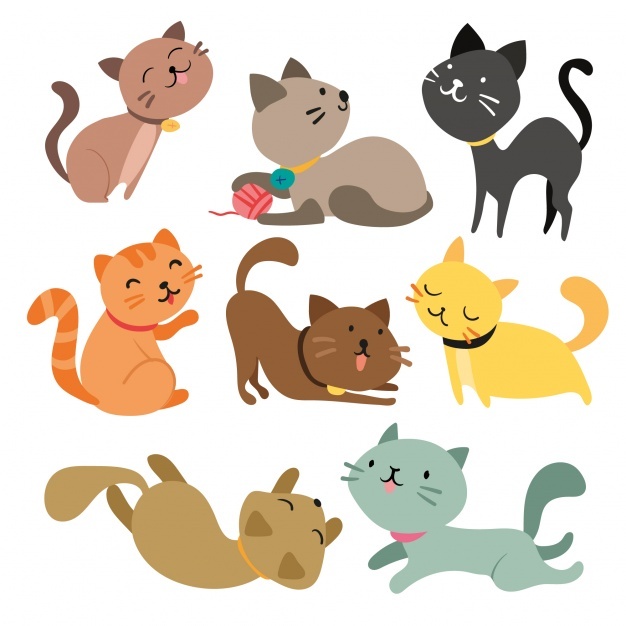 Cat Vectors, Photos And Free Download 626x626 Cat Vectors, Photos And Free Download