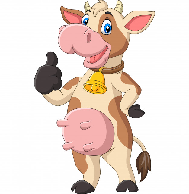 626x644 Cartoon Funny Cow Giving Thumb Up Vector Premium Download